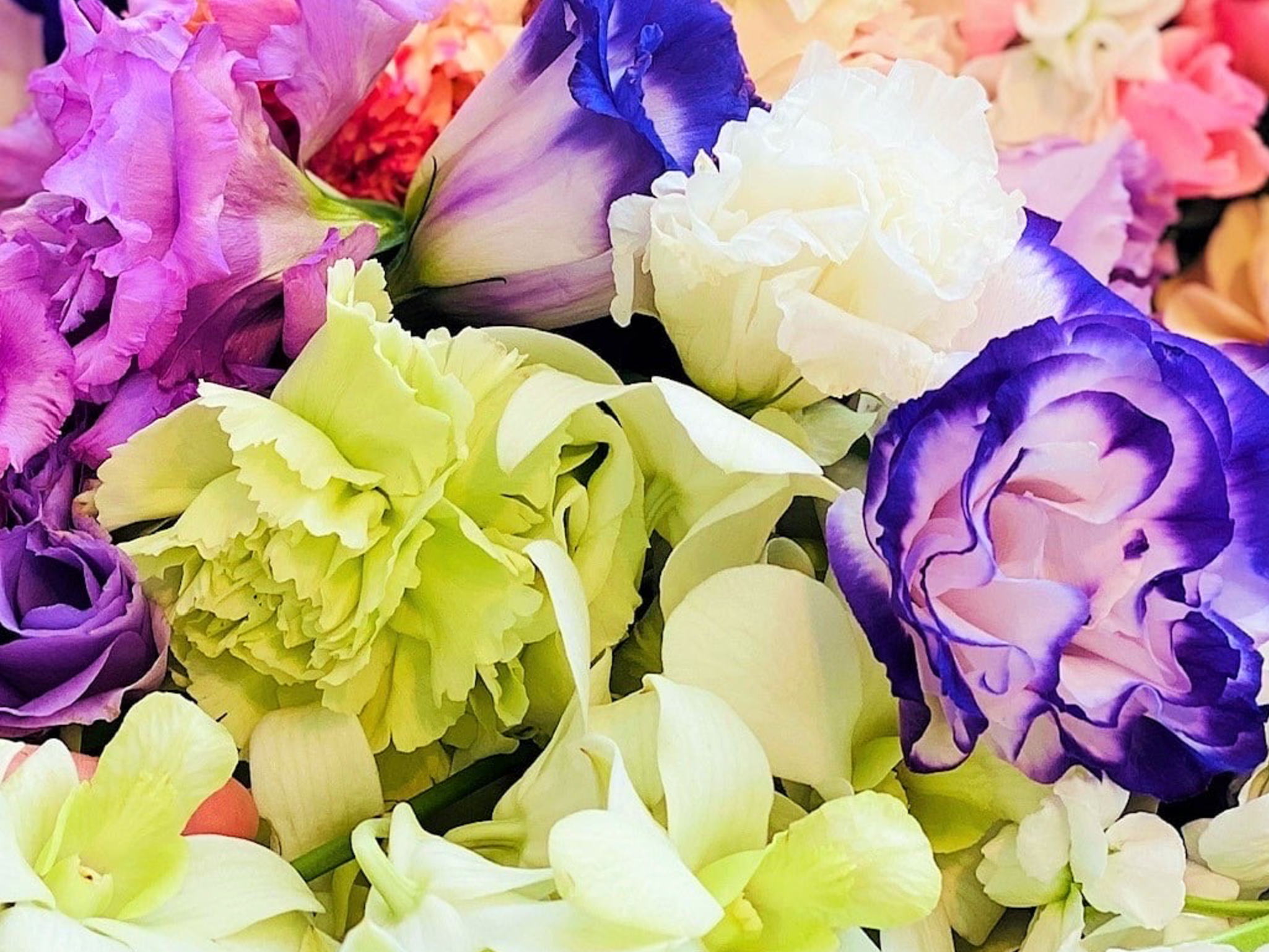 格安から品質高い綺麗な花々で見送る葬儀まで丁寧にご案内致します。
