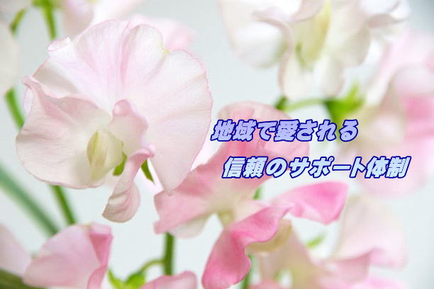 格安から品質高い葬儀まで幅広くご案内